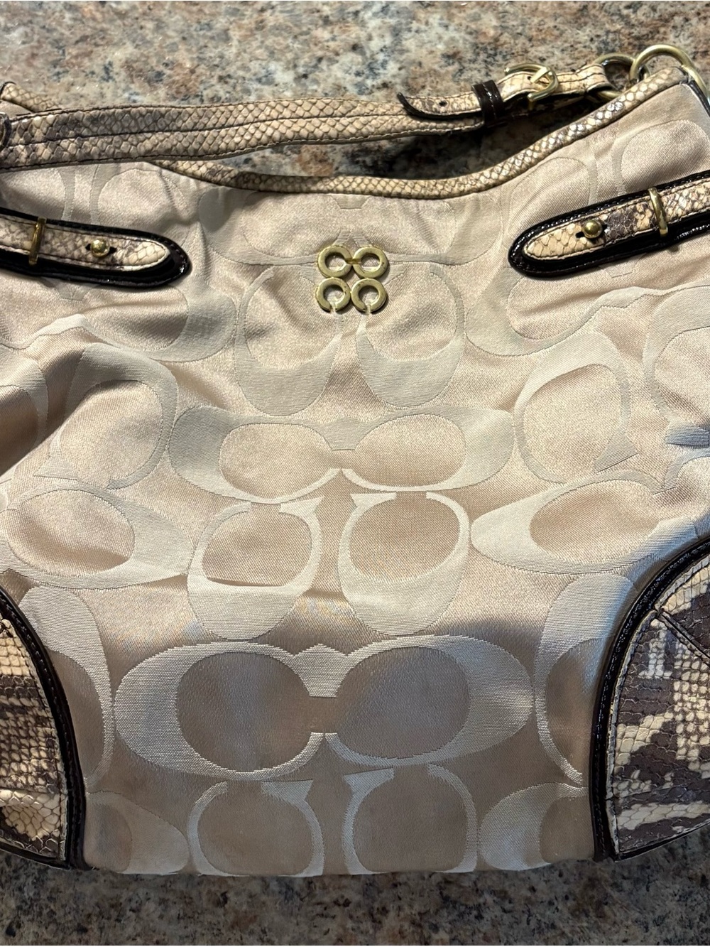 Coach Colette Signature Sateen and Python Hobo Bag